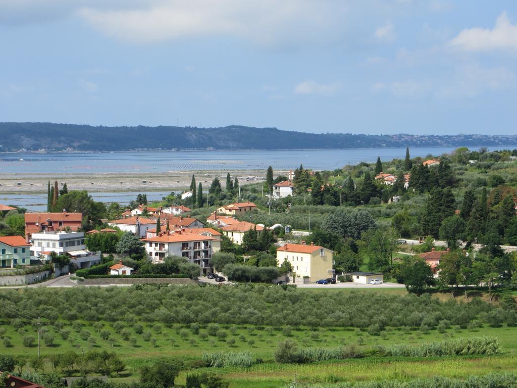 B&B Kovac Portoroz Ngoại thất bức ảnh